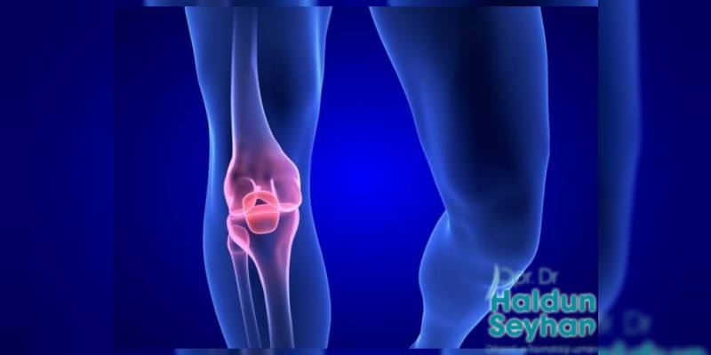 Menisküs Nedir?